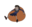 bungle.online