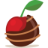 cocoacasino.com
