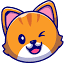 coolcatbouncehouse.com