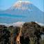 kilimanjaroparktanzania.com