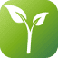 linearural.com
