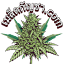 metganja.com