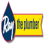 raytheplumber.com