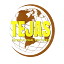 tejasinternationalventures.com