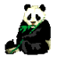 beautifulbamboo.com