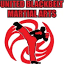 bronxmartialartsschool.com