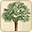 carolinapark.com