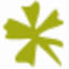 cestdivin.com