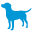 dogpregnancy.store