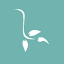 execuflora.co.za