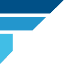fortesec.com.br