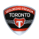 seguridadtoronto.com
