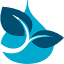 watercoolersdirect.com