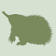wildcare.org.au