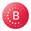 bernafon.com
