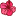 cvety-nadym.ru