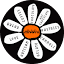 daisiesbelfast.com