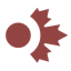 dotcanada.com