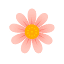 fancyaroma.com