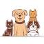frecklesandfriendsvetclinic.vet
