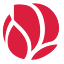 sdp.ba