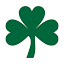 shamrockconstruct.com