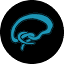 twistedbrainz.com