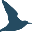 wingthreads.com