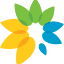 winxo.com
