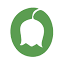 dialoginvest.com