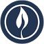 ecofriendlyprinter.com