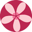 lilarays.com