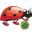 luckybug.it