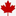 torontoisland.com
