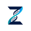 zyndio.com