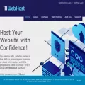 111webhost.com