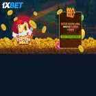 1x-chickenwin.com