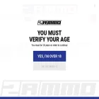 2ammunition.com