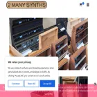2manysynths.nl