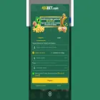 456brl.com