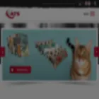 4cats.de