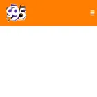 995entertainment.nl