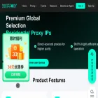 9981proxy.com