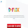 9xflix.rip