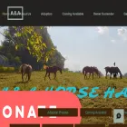 aahorsehaven.com