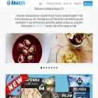 abakus-uk.com