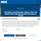 abusgruas.es