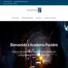 academiapucobre.cl