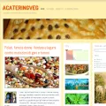 acateringveg.wordpress.com