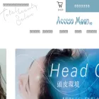 accessmoon.com
